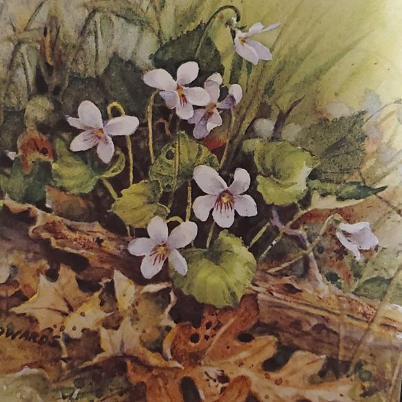 Greeting Cards (7) Red Farm Studio White Violets - Picture 5 of 7